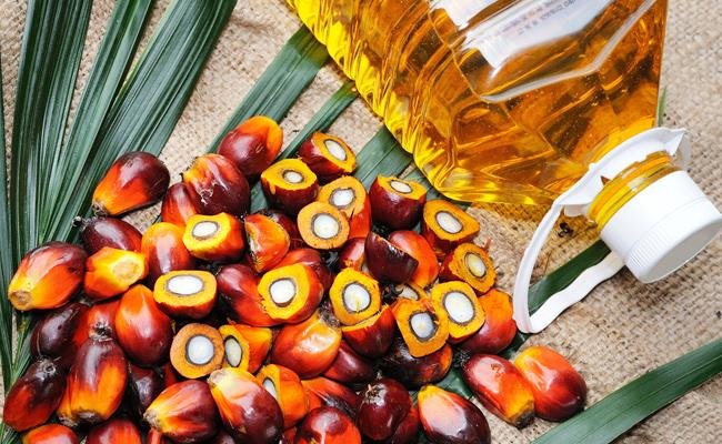 raw-palm-oil-at-best-price-in-mundra-id-24013840033